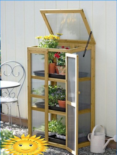 Mini greenhouse on the balcony