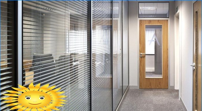 Office partitions: how to divide office space