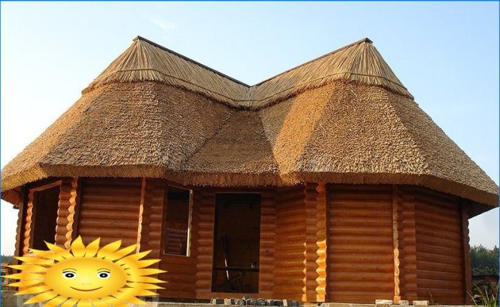Reed roof: features of the material and roofing device