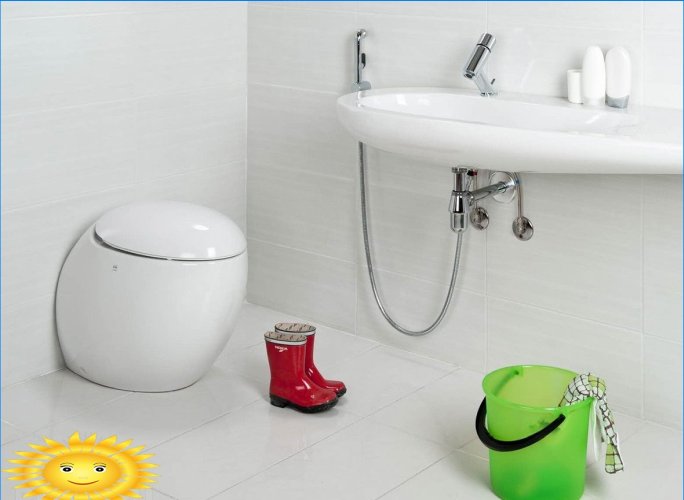 Replacing the bidet: hygienic showers and bidets