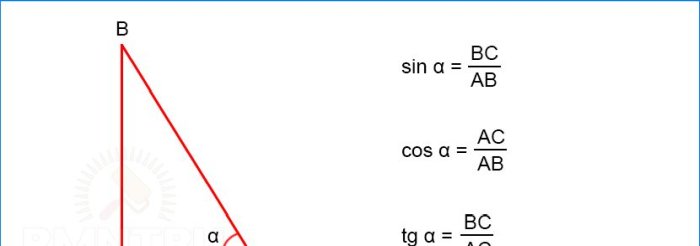 Trigonometric functions of an acute angle