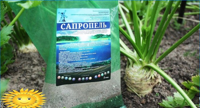 Ready fertilizer sapropel