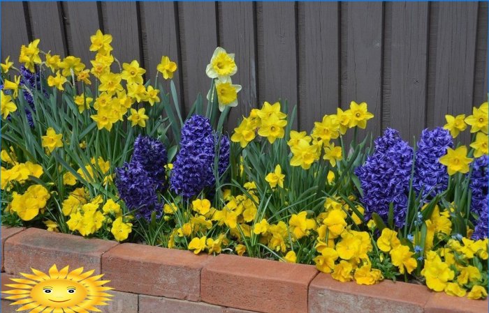 Beautiful spring flower bed