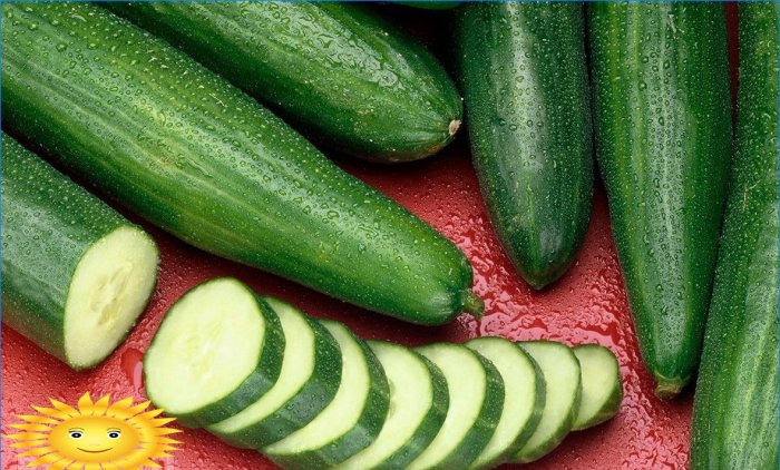 The most popular varieties of cucumbers