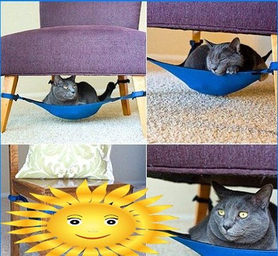 This chair for me, this ottoman for the cat - we equip the cat's interior