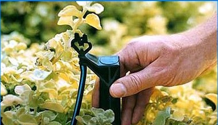 How to operate a drip irrigation system