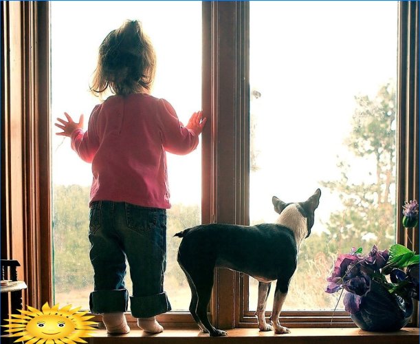 Window protection for children and pets