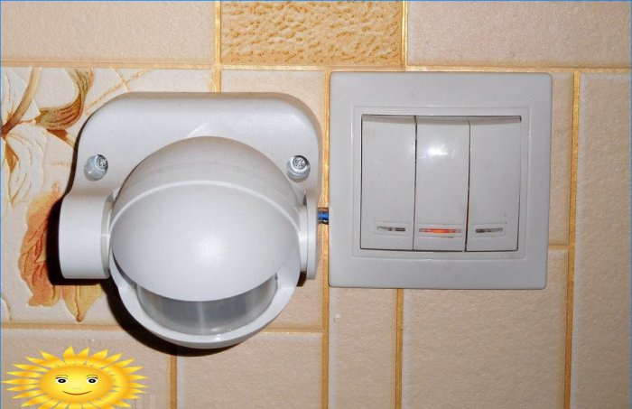 Motion sensor and switch