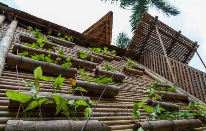 BB Home's vertical garden on the bamboo facade
