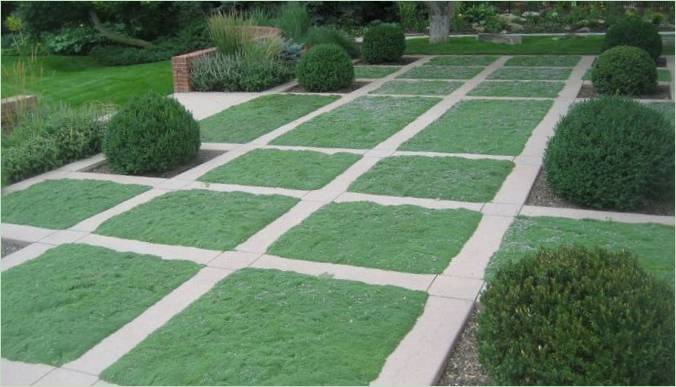 Project of garden design from well-known designers