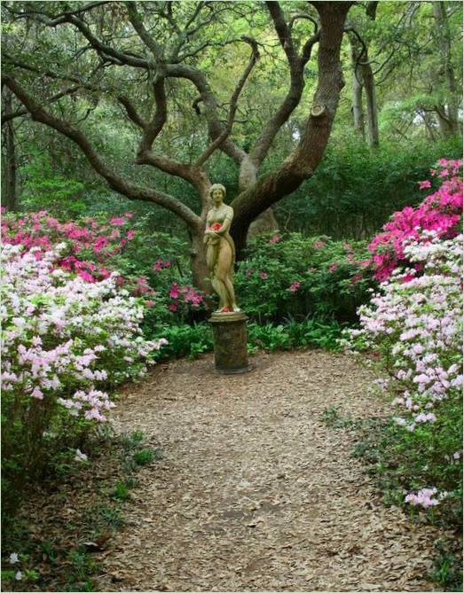 Aphrodite garden statue