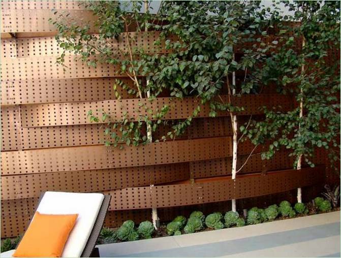 Fencing for a modern home