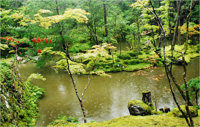 The Saiho-ji Moss Garden in Kyoto