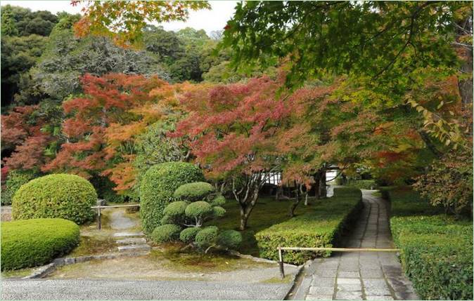 Saiho-ji Moss Garden in Kyoto