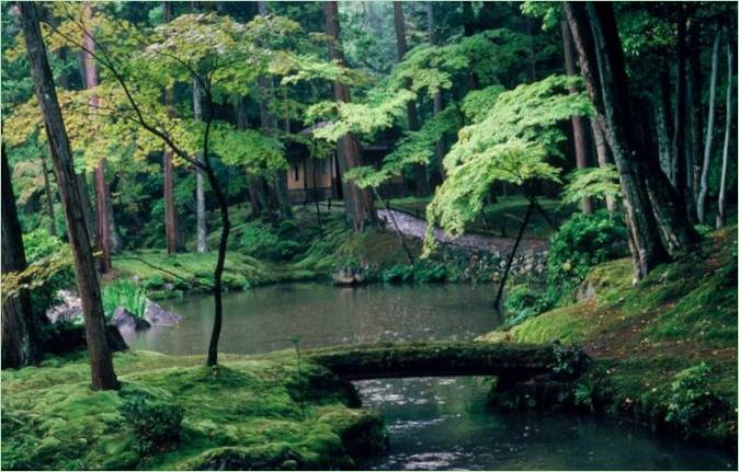 The Saiho-ji Moss Garden in Kyoto