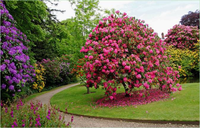 Biddulph Grange Garden in England