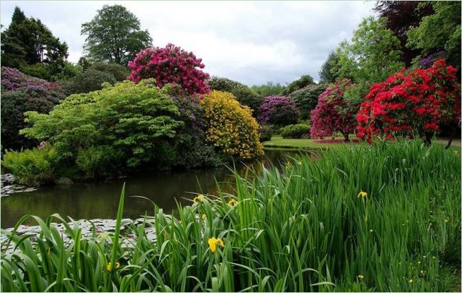 Biddulph Grange Garden in England