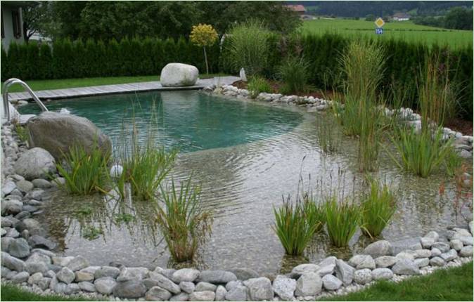 Swimming pool décor with living plants