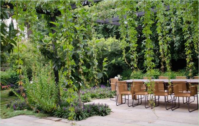 A beautiful pergola for the garden: a variant of decoration - photo 3