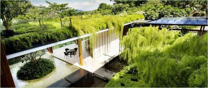 Terrace surrounded by greenery