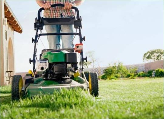Lawn care tips: Handy lawnmower