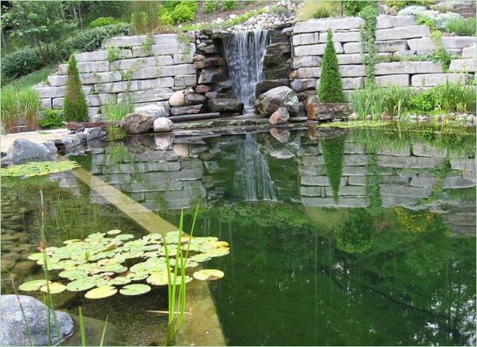 Landscape design of the site with a pond