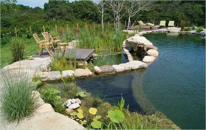 Landscape design of the plot with a pond