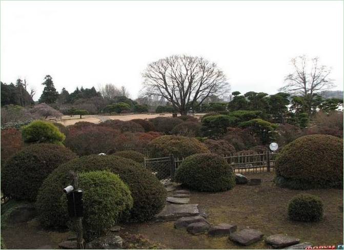 Kairaku-en Gardens in Mito City