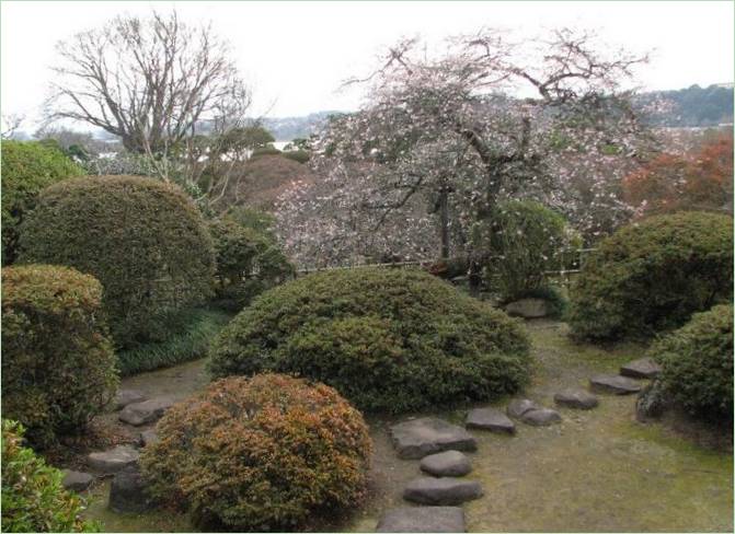 Kairaku-en Gardens in Mito