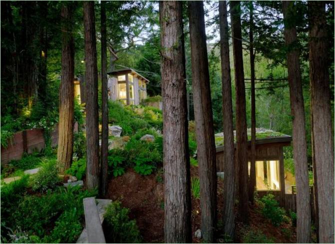 Cozy cottages between the trees Mill Valley Cabins in California, USA