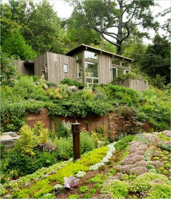 Cozy Cottages Between the Trees Mill Valley Cabins in California, USA